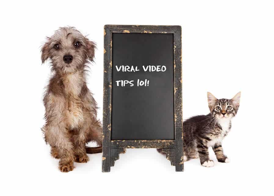 5 Things you should know before you plan a Viral video