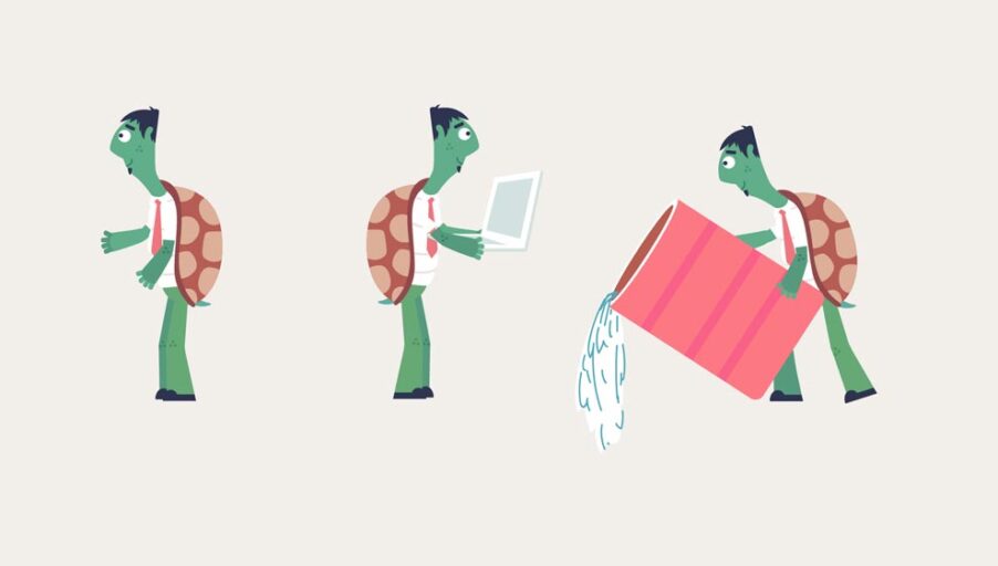 Turtlemint | Brand Explainer Video -Characters